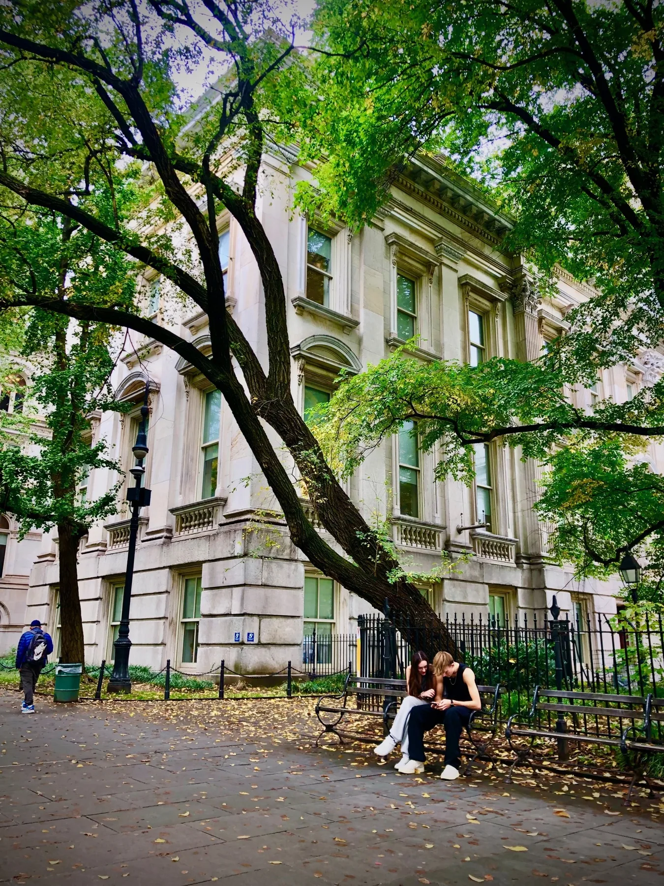 An old marble civic building with tall arched windows and carved stone balconies, framed by a leaning tree trunk and a green canopy, a young couple sharing a phone on a park bench and fallen yellow leaves on the path