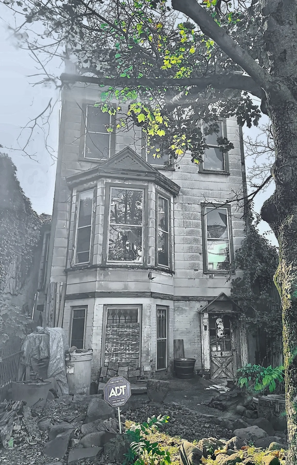 A three-story nineteenth-century frame house with a projecting bay window, green-painted trim and a peaked door hood, half hidden behind a large street tree and an overgrown front garden