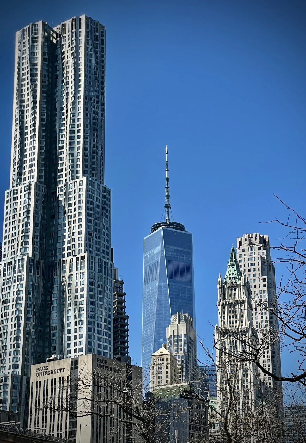 Frank Gehry&rsquo;s rippled steel tower at 8 Spruce Street beside One World Trade Center and the green-topped Gothic Woolworth Building under a clear blue sky